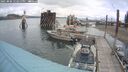 ./images/quadra/hbidock/20250806/hbidock20250806_122011M.jpg
