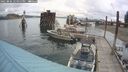 ./images/quadra/hbidock/20250806/hbidock20250806_124011M.jpg