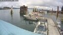 ./images/quadra/hbidock/20250806/hbidock20250806_125011M.jpg