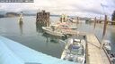 ./images/quadra/hbidock/20250806/hbidock20250806_133510M.jpg