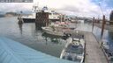 ./images/quadra/hbidock/20250806/hbidock20250806_134009M.jpg