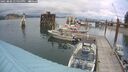 ./images/quadra/hbidock/20250806/hbidock20250806_140000M.jpg