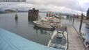 ./images/quadra/hbidock/20250806/hbidock20250806_140500M.jpg