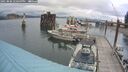 ./images/quadra/hbidock/20250806/hbidock20250806_140509M.jpg