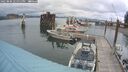 ./images/quadra/hbidock/20250806/hbidock20250806_141011M.jpg