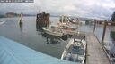 ./images/quadra/hbidock/20250806/hbidock20250806_142509M.jpg