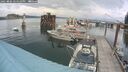 ./images/quadra/hbidock/20250806/hbidock20250806_144510M.jpg