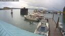 ./images/quadra/hbidock/20250806/hbidock20250806_165008M.jpg