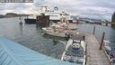 ./images/quadra/hbidock/20250806/hbidock20250806_192509M.jpg