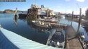 ./images/quadra/hbidock/20250807/hbidock20250807_083511M.jpg