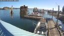 ./images/quadra/hbidock/20250807/hbidock20250807_085000M.jpg