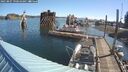 ./images/quadra/hbidock/20250807/hbidock20250807_090510M.jpg