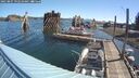 ./images/quadra/hbidock/20250807/hbidock20250807_092510M.jpg