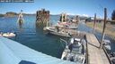 ./images/quadra/hbidock/20250807/hbidock20250807_131500M.jpg