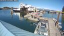 ./images/quadra/hbidock/20250807/hbidock20250807_155000M.jpg