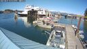 ./images/quadra/hbidock/20250807/hbidock20250807_155010M.jpg