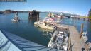 ./images/quadra/hbidock/20250807/hbidock20250807_170509M.jpg