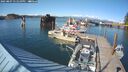 ./images/quadra/hbidock/20250807/hbidock20250807_171010M.jpg