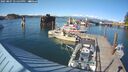 ./images/quadra/hbidock/20250807/hbidock20250807_171500M.jpg