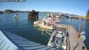 ./images/quadra/hbidock/20250807/hbidock20250807_171511M.jpg