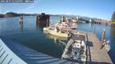 ./images/quadra/hbidock/20250807/hbidock20250807_175010M.jpg