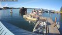 ./images/quadra/hbidock/20250807/hbidock20250807_180508M.jpg
