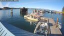 ./images/quadra/hbidock/20250807/hbidock20250807_181011M.jpg