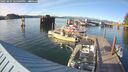 ./images/quadra/hbidock/20250807/hbidock20250807_185009M.jpg