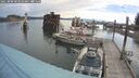 ./images/quadra/hbidock/20250808/hbidock20250808_083510M.jpg