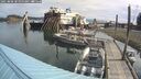 ./images/quadra/hbidock/20250808/hbidock20250808_102000M.jpg