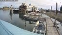 ./images/quadra/hbidock/20250808/hbidock20250808_102508M.jpg
