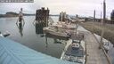 ./images/quadra/hbidock/20250808/hbidock20250808_113510M.jpg