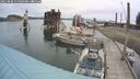 ./images/quadra/hbidock/20250808/hbidock20250808_114509M.jpg
