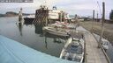 ./images/quadra/hbidock/20250808/hbidock20250808_122009M.jpg