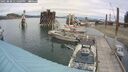 ./images/quadra/hbidock/20250808/hbidock20250808_135000M.jpg