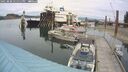 ./images/quadra/hbidock/20250808/hbidock20250808_141511M.jpg