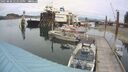 ./images/quadra/hbidock/20250808/hbidock20250808_142510M.jpg