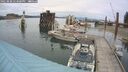 ./images/quadra/hbidock/20250808/hbidock20250808_143000M.jpg