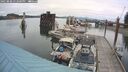 ./images/quadra/hbidock/20250808/hbidock20250808_152000M.jpg