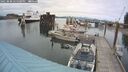 ./images/quadra/hbidock/20250808/hbidock20250808_155500M.jpg