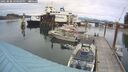 ./images/quadra/hbidock/20250808/hbidock20250808_160000M.jpg