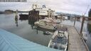 ./images/quadra/hbidock/20250808/hbidock20250808_160500M.jpg