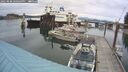 ./images/quadra/hbidock/20250808/hbidock20250808_160509M.jpg