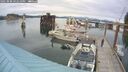 ./images/quadra/hbidock/20250808/hbidock20250808_162510M.jpg