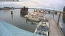 ./images/quadra/hbidock/20250808/hbidock20250808_163510M.jpg
