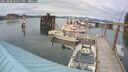 ./images/quadra/hbidock/20250808/hbidock20250808_164511M.jpg
