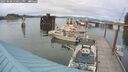 ./images/quadra/hbidock/20250808/hbidock20250808_170010M.jpg