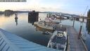 ./images/quadra/hbidock/20250808/hbidock20250808_202500M.jpg