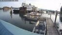 ./images/quadra/hbidock/20250809/hbidock20250809_081011M.jpg