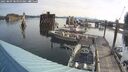 ./images/quadra/hbidock/20250809/hbidock20250809_084000M.jpg